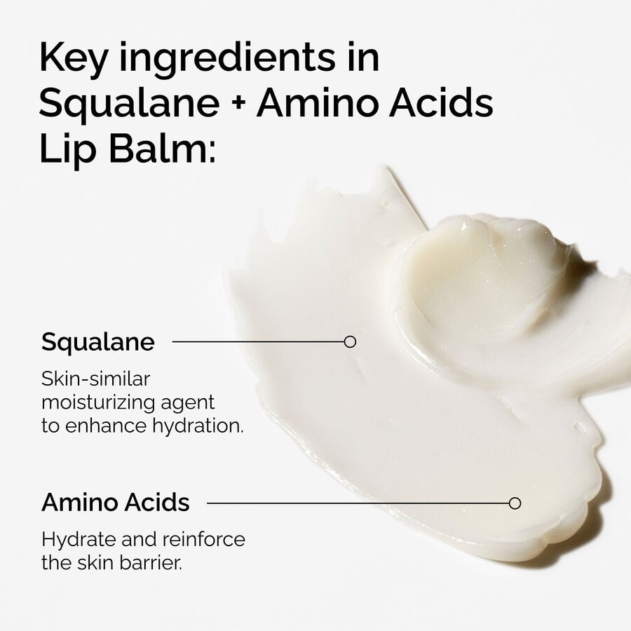 Key Ingredients of the Squalane + Amino Acids Lip Balm